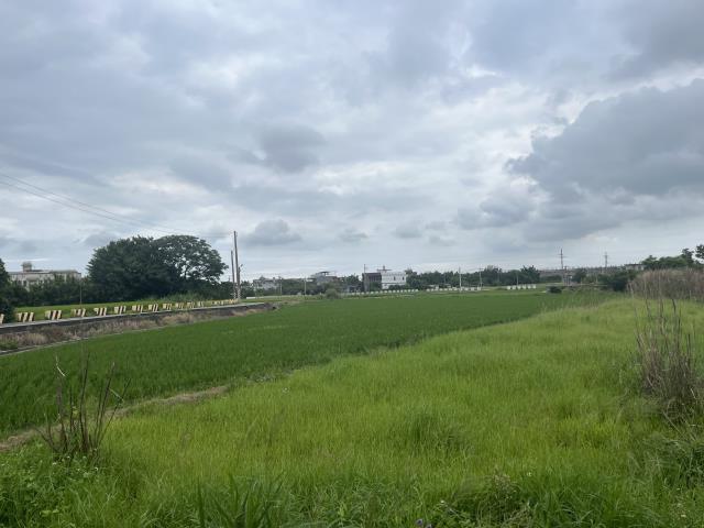 桃園農地-3