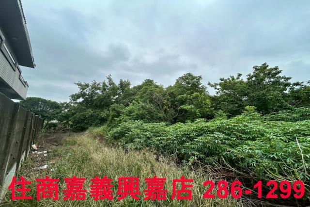 嘉義建地-4