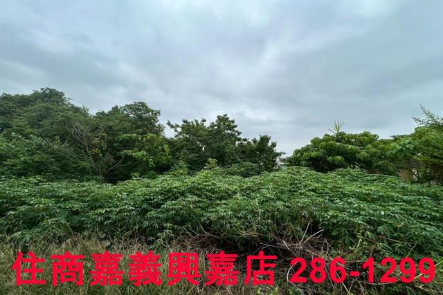 嘉義建地-6