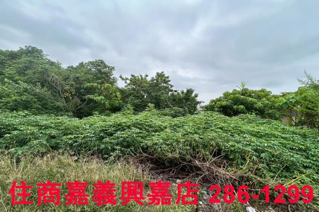 嘉義建地-7