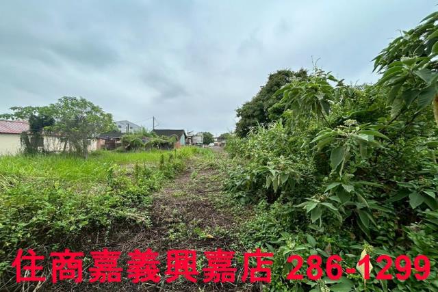 嘉義建地-8