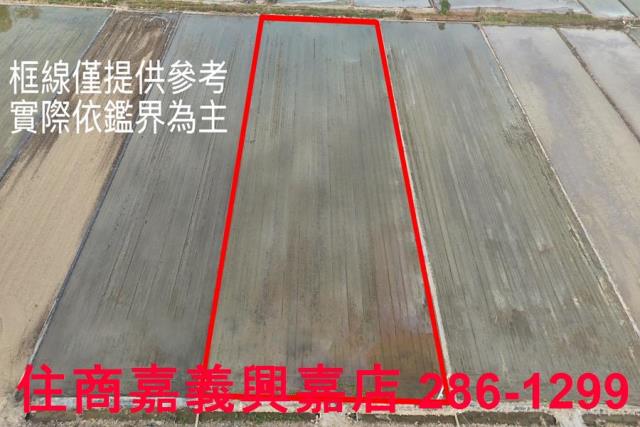嘉義農地-9