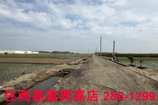 嘉義農地-13