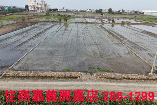 嘉義農地-6