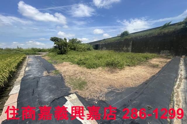 嘉義農地-2
