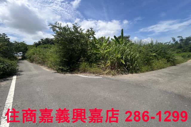 嘉義農地-5