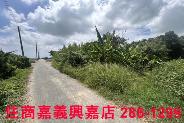 嘉義農地-6