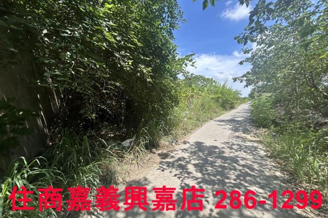 嘉義農地-7