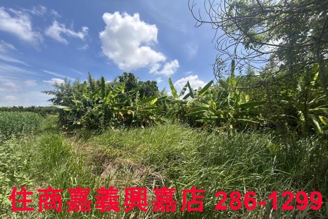 嘉義農地-8
