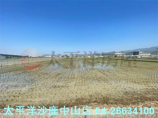 苗栗苑裡農地-1