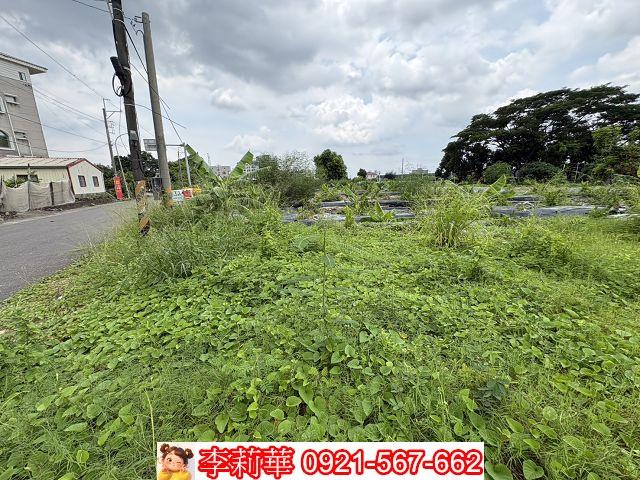 台南新市農地-3
