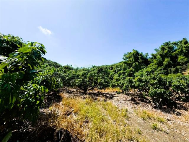 高雄大樹農地-3