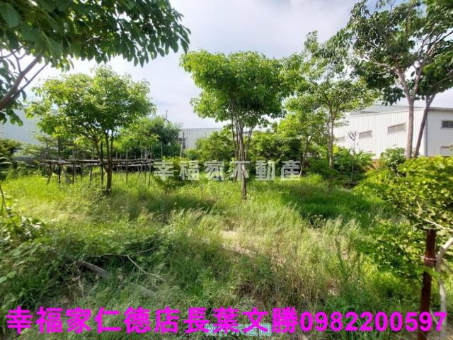 仁德工業地-9