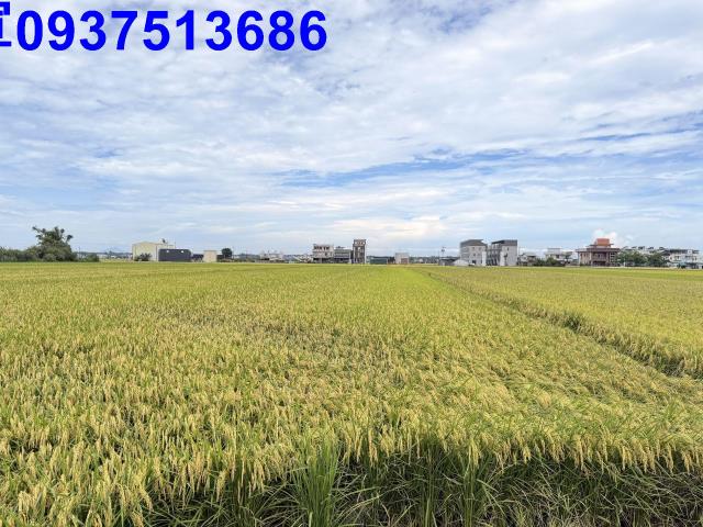 宜蘭農地-15