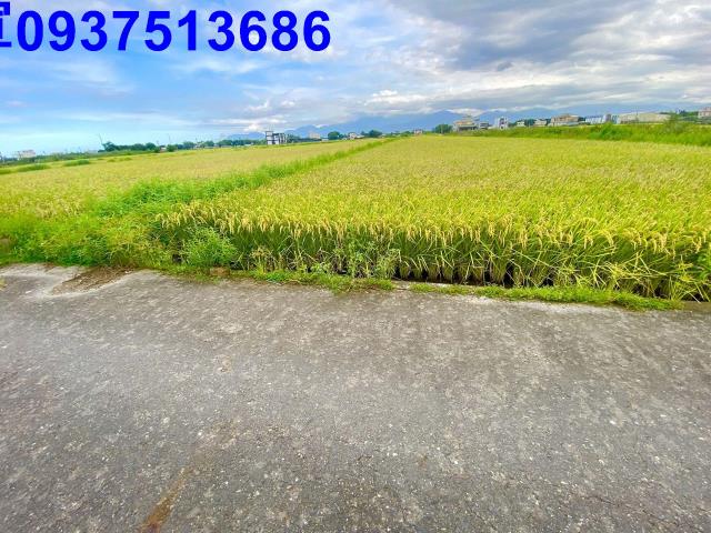 宜蘭農地-15
