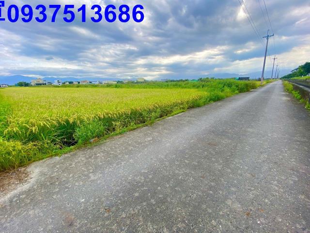 宜蘭農地-2