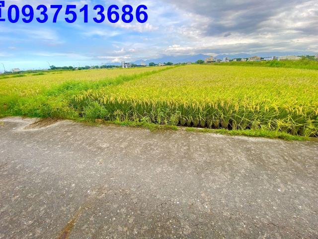 宜蘭農地-4