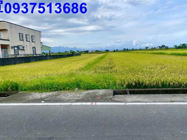 宜蘭農地-11