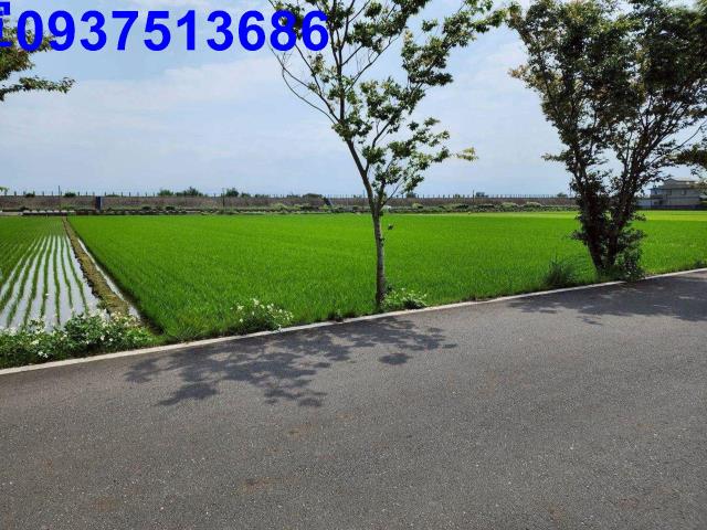 宜蘭農地-2