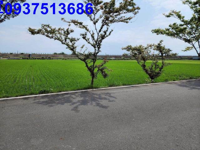 宜蘭農地-3