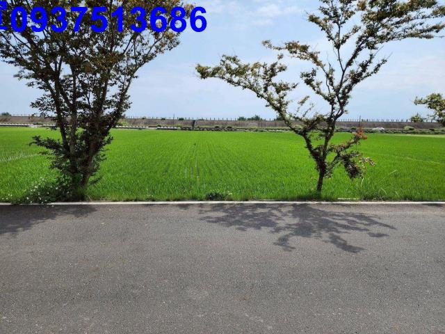 宜蘭農地-8