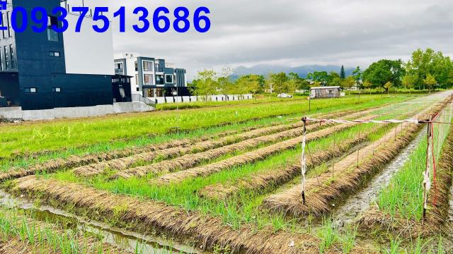 宜蘭三星農地-5