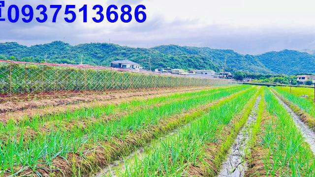 宜蘭三星農地-9