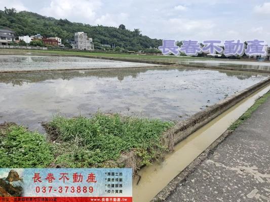 苗栗頭屋農地-3