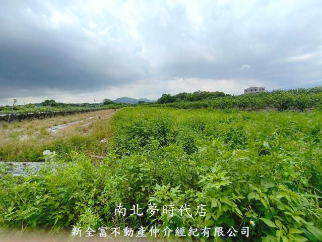 玉井農地-10