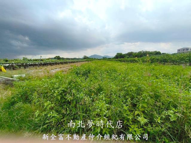 玉井農地-11