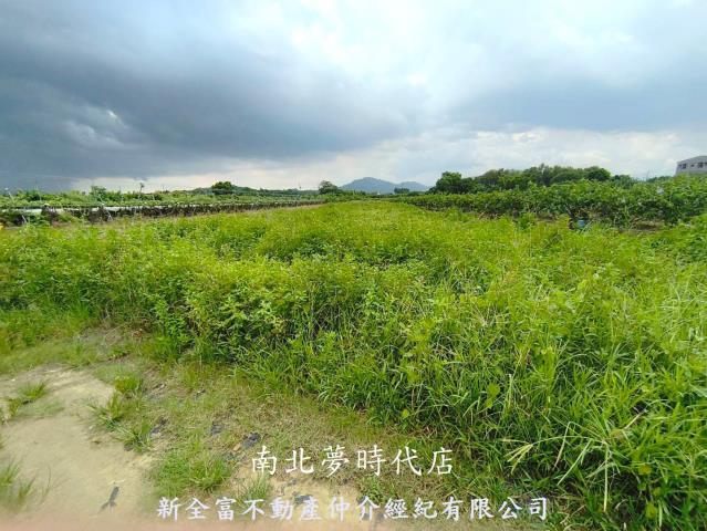 玉井農地-12