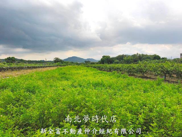 玉井農地-2