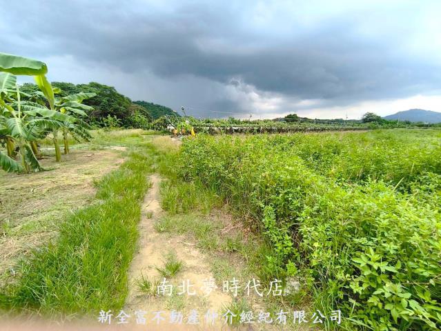 玉井農地-7