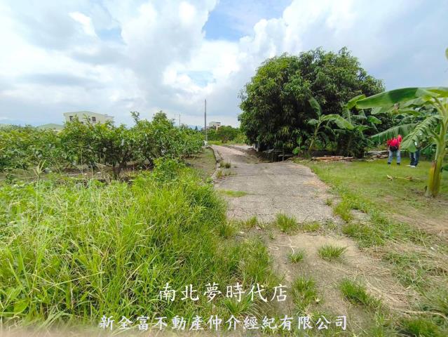 玉井農地-8