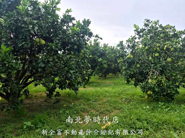 下營農地-0