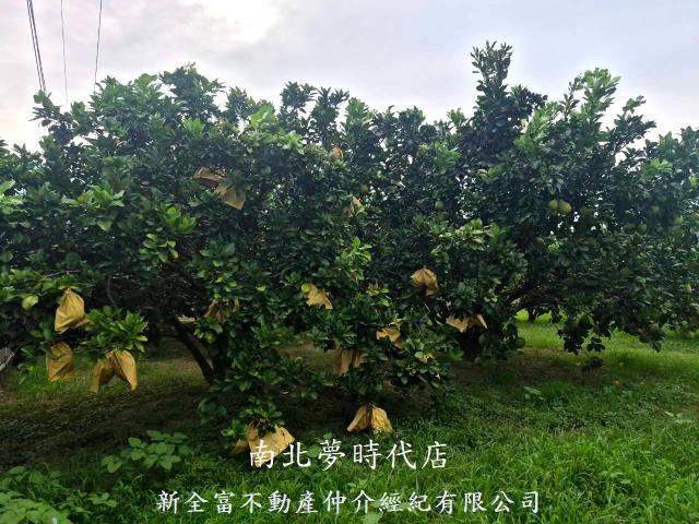 下營農地-2