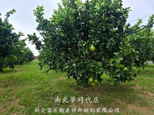 下營農地-4