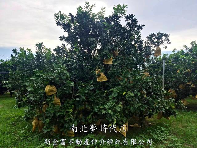 下營農地-5