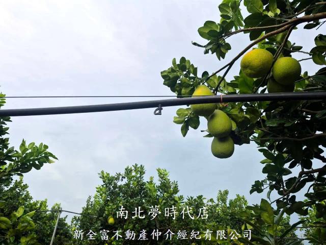 下營農地-6