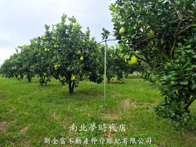 下營農地-7
