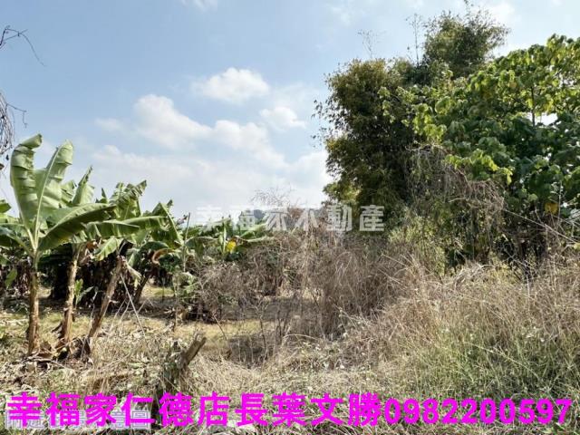 玉井工業地-12