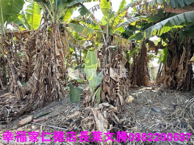 玉井工業地-7