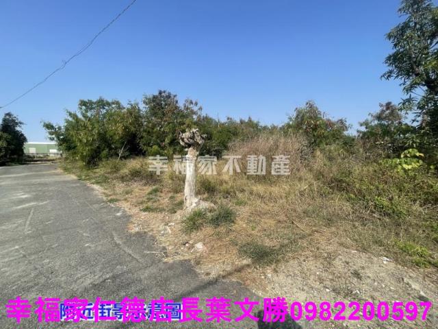 學甲工業地-7