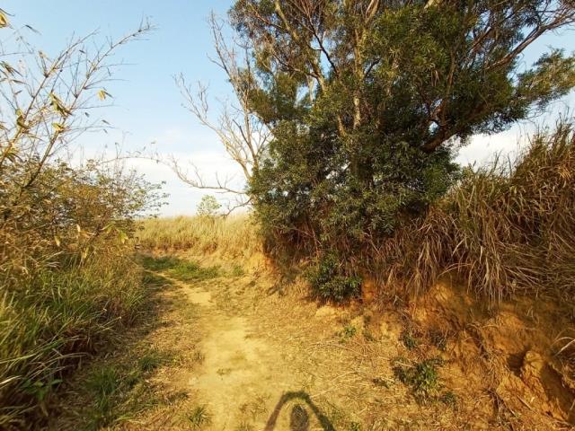 龍井保護區-1