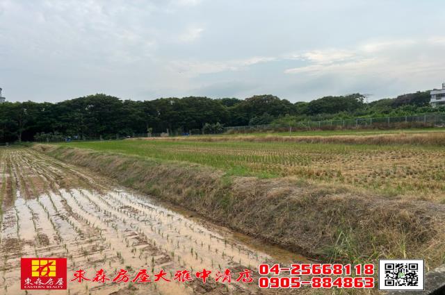 大雅農地-0