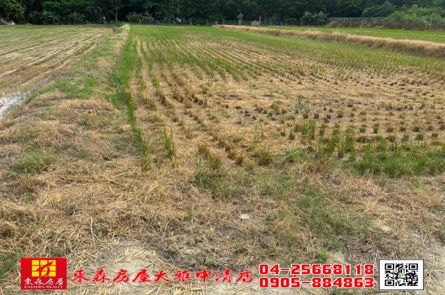 大雅農地-4