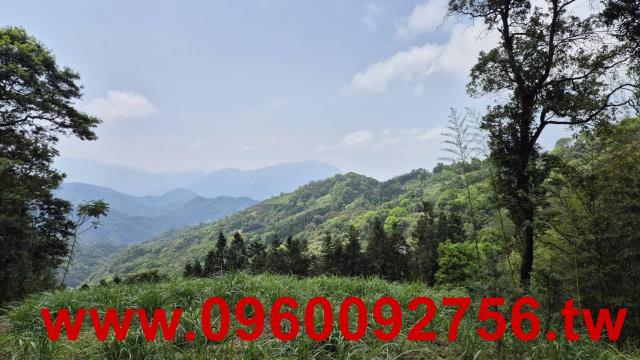 五峰農地_山坡地_休閒地-6