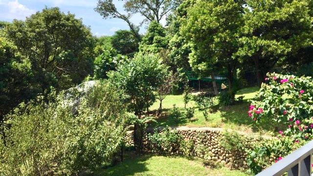 新竹農地-14