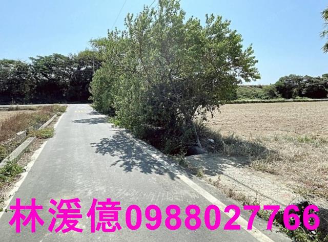 桃園觀音農地-0