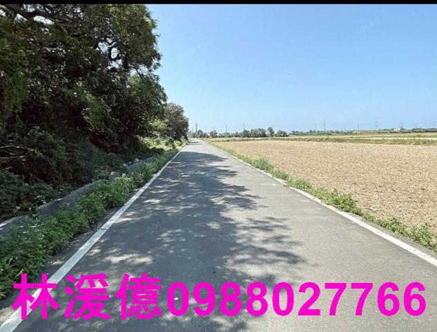 桃園觀音農地-2